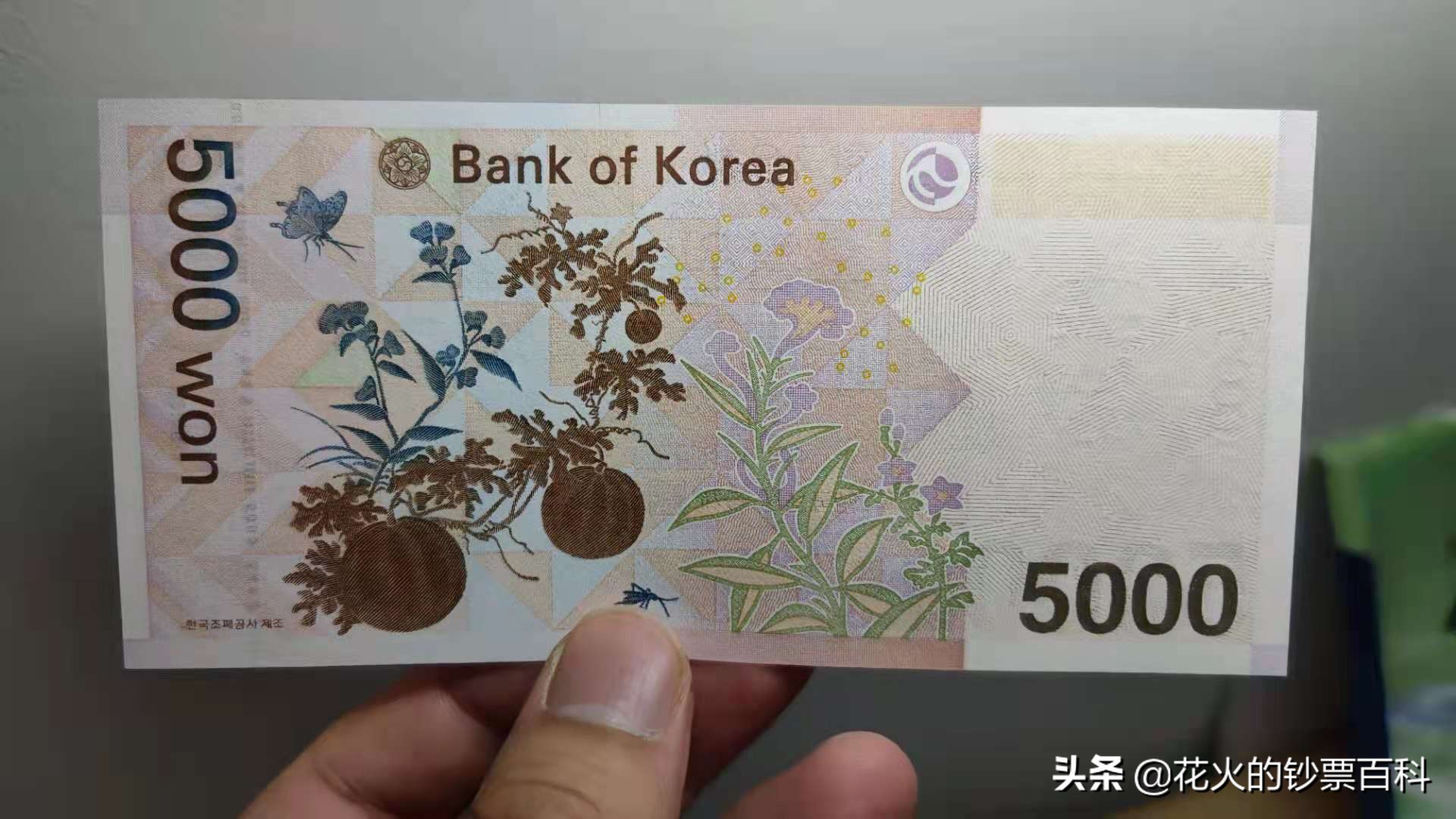 韩国4900人民币多少(韩国五百等于多少人民币)