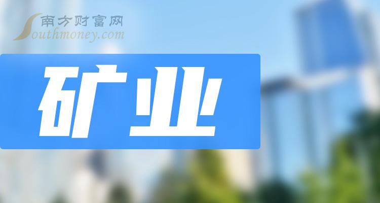 海南矿业股票(601969海南矿业)