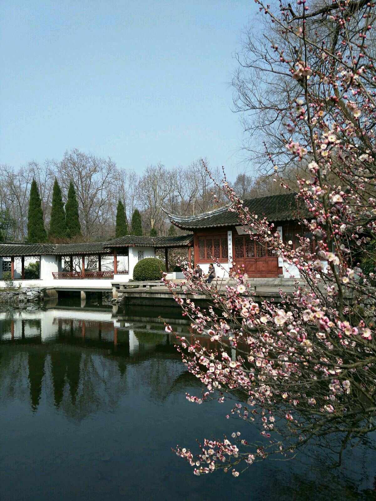 红楼馆(洪楼广场片区城市更新)