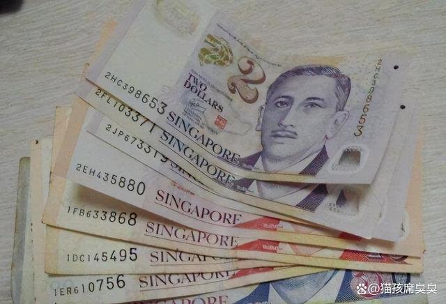 国内人民币换新加坡币(人民币换新加坡币是多少)