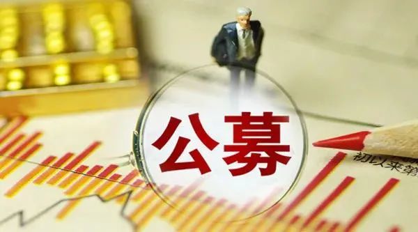 海外嘉实基金(海外嘉实基金今天净值查询表)